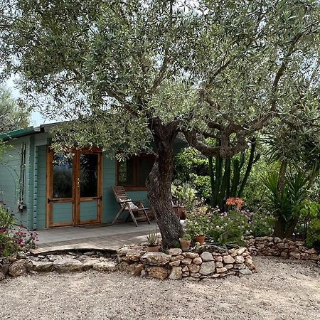 Finca Florecer Tivenys Luaran gambar