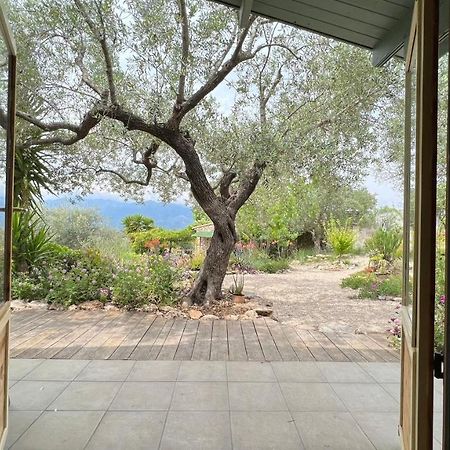 Finca Florecer Tivenys Luaran gambar