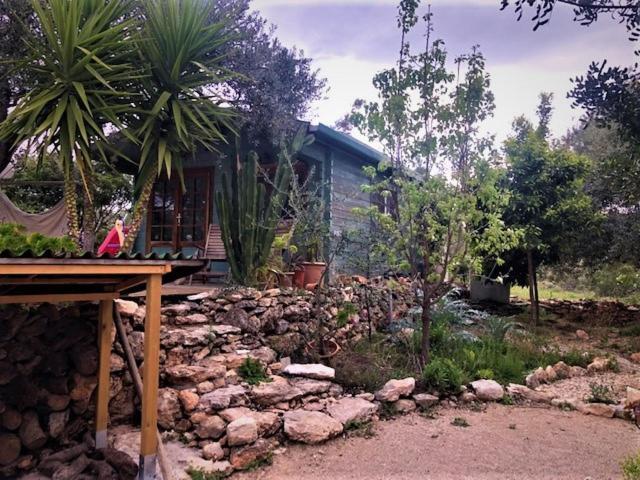 Finca Florecer Tivenys Luaran gambar