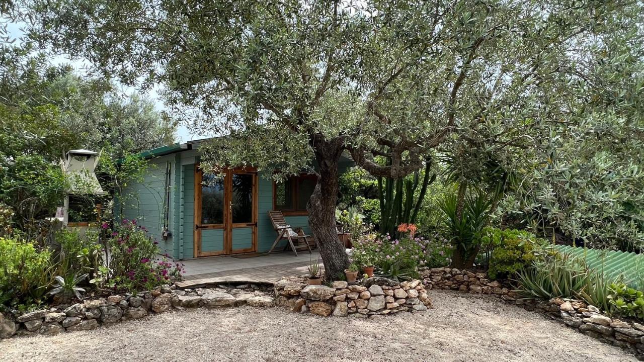 Finca Florecer Tivenys Luaran gambar